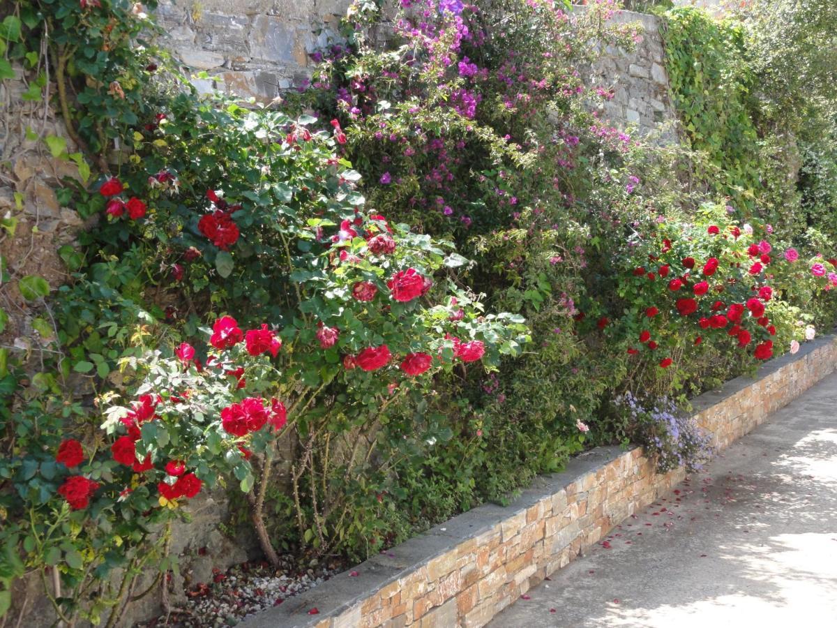 Charmantes Chambres 792 Route Inferieure De Cardo Bastia  Exterior foto